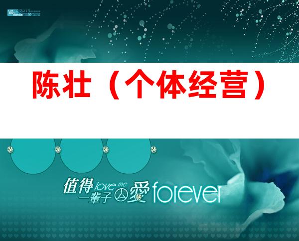 陈壮（个体经营）
